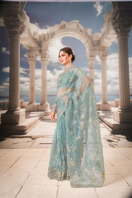 Celestial Aqua Embroidered Net Saree