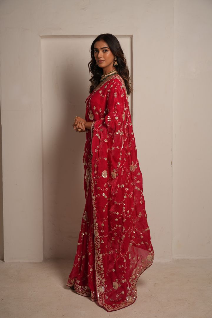 Rani Pink Raw Dola Silk Embroidered Saree
