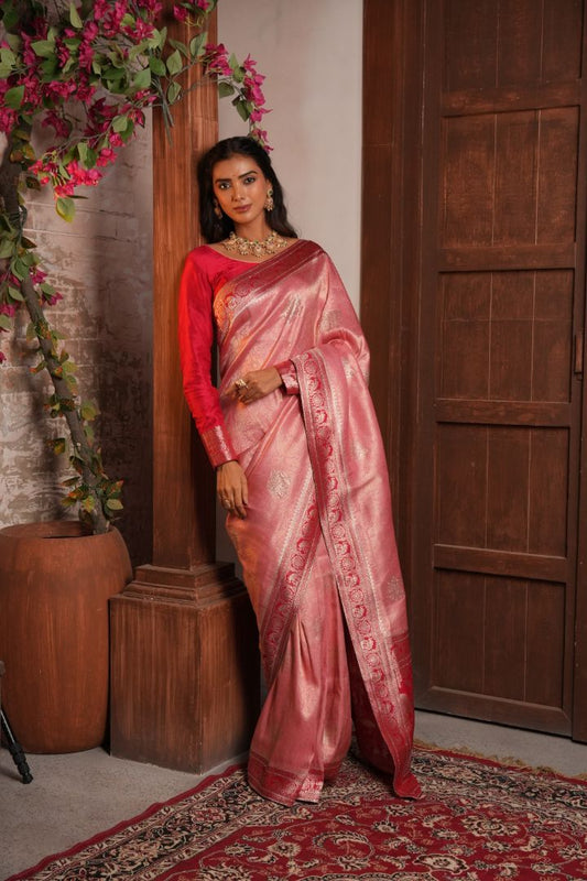 Blush Pink Giraffe Swarovski Border Saree