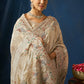 Pearl Mist Embroidered Organza Saree