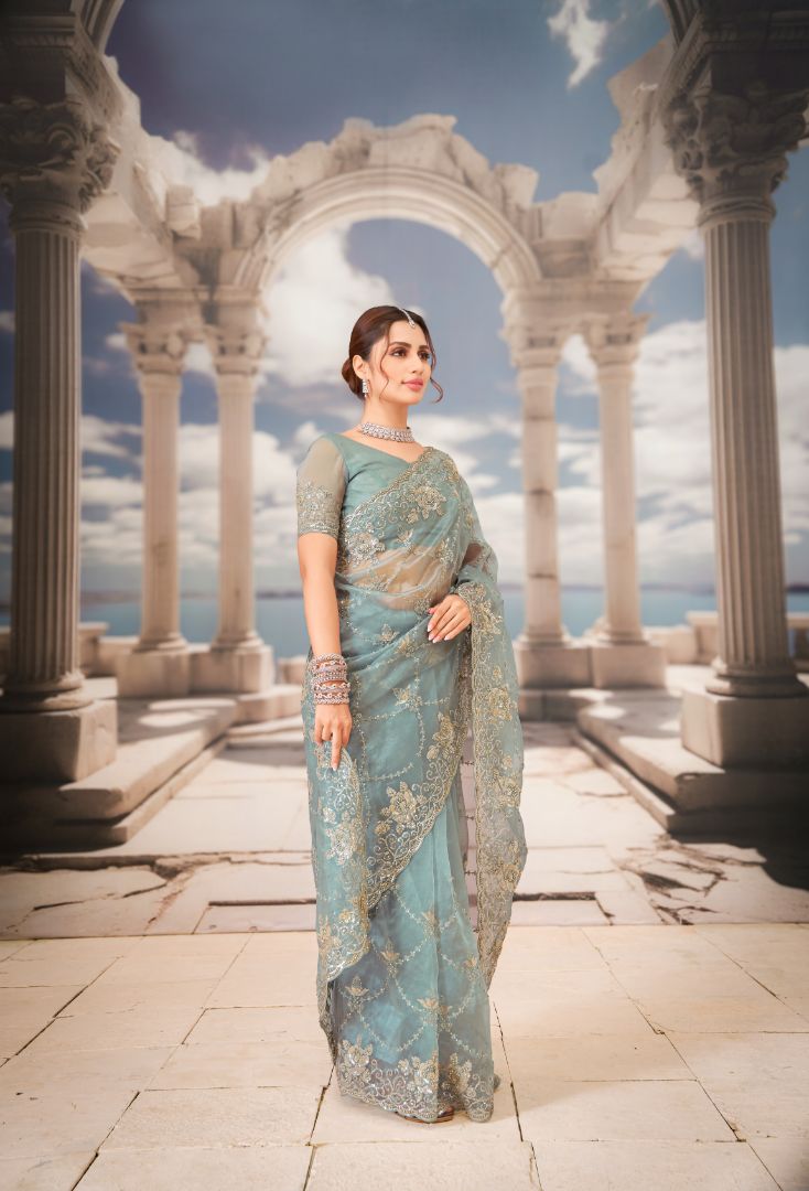 Celestial Aqua Embroidered Net Saree