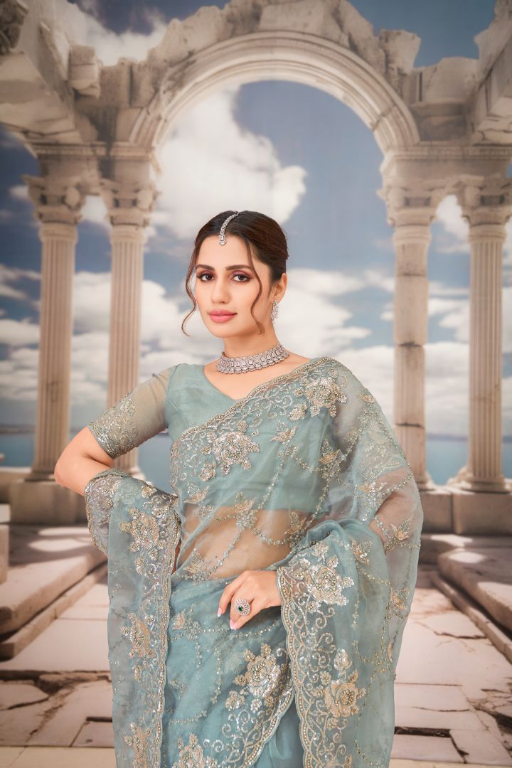 Celestial Aqua Embroidered Net Saree